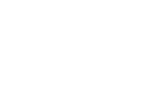 Pioneer Fund